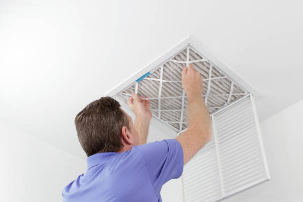 Best Dryer Vent Cleaning Services  in Kachina Village, AZ